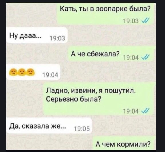 Кать ты в зоопарке была 03 их 7 А че сбежала Ладно извини я пошутил Серьезно была Да сказала же А чем кормили