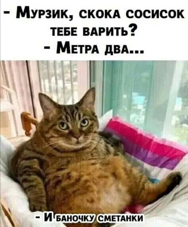 Мурзик ском сосисок ТЕБЕ ВАРить МЕТРА двд Т