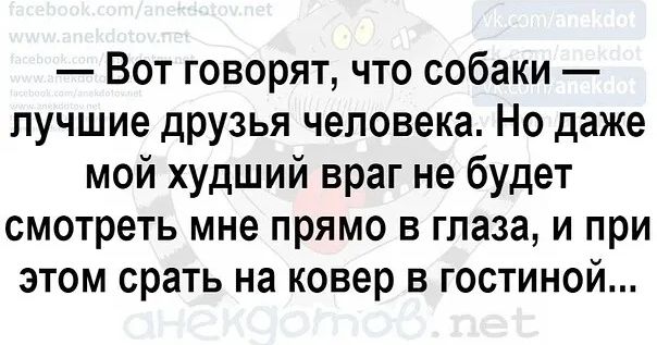 Вот говорят что собаки лучшие друзья человека Но даже мой худший враг не будет смотреть мне прямо в глаза и при этом срать на ковер в гостиной