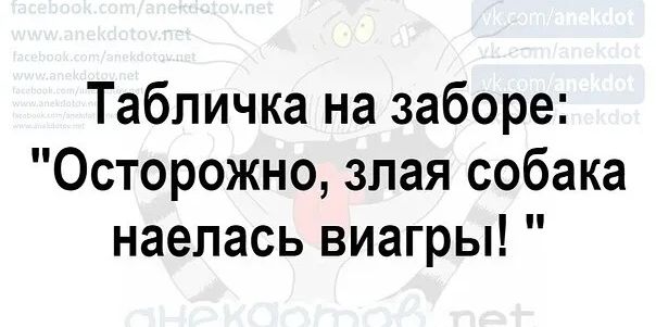 Табличка на заборе Осторожно злая собака наелась виагры