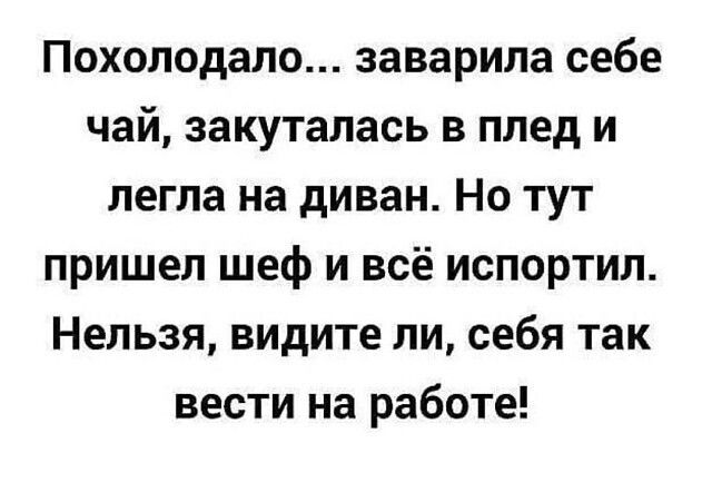 Похолодало заварила себе чай закуталась в плед и легла на диван Но тут пришел шеф и всё испортил Нельзя видите ли себя так вести на работе