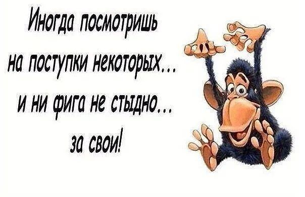 Иногда посмотришь на поступки некоторых и ни фига не стыдно за свои