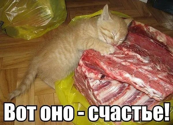 Вот оно счастье!