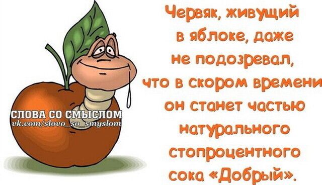 ч 120353393