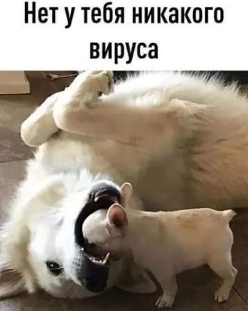 Нет у тебя никакого вируса