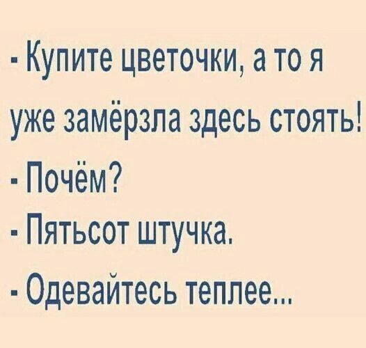 Купите цветочки а то я уже замёрзпа здесь стоять Почём Пятьсот штучка Одевайтесь теплее