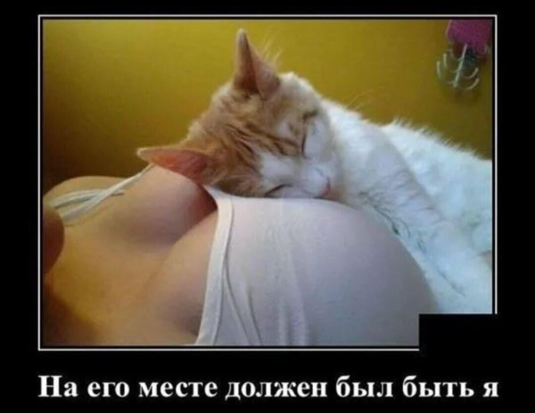 На его месте должен был быть я