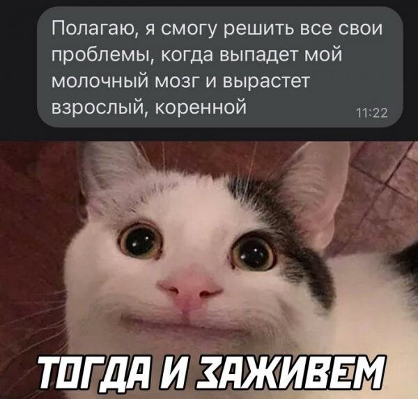 Полагаю я смогу решить все свои проблемы когда выпадет мой МОЛОЧНЫЙ МОЗГ И вырастет взрослый коренной ШГДЛ И КДЖИЕЕМ