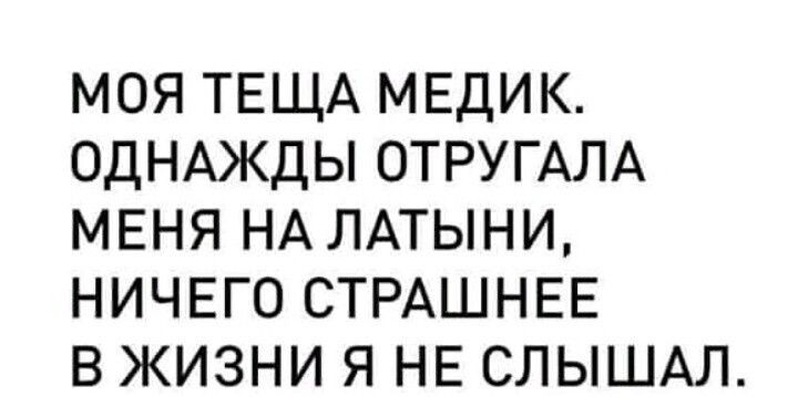 МОЯ ТЕЩА МЕДИК ОДНАЖДЫ ОТРУГАЛА МЕНЯ НА ЛАТЫНИ НИЧЕГО СТРАШНЕЕ В ЖИЗНИ Я НЕ СЛЫШАЛ