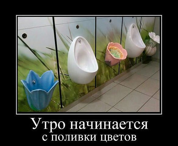 Утро начинается С ПОЛИВКИ ЦВСТОВ
