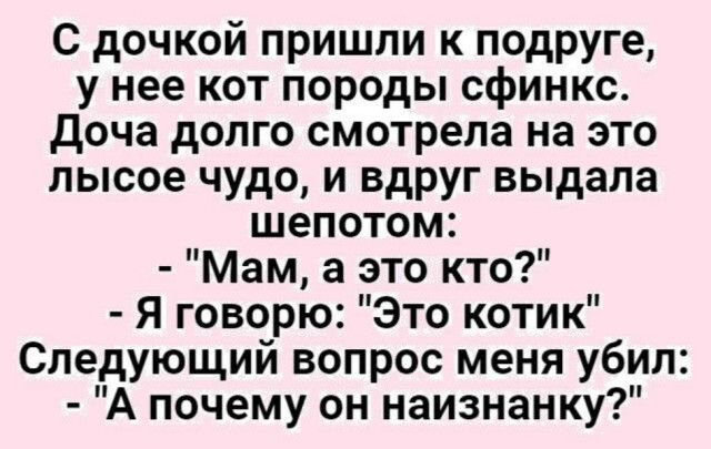 С дочкой пришли к подруге у нее кот породы сфинкс доча долго смотрела на это пысое чудо и вдруг выдала шепотом Мам а это кто я говорю Это котик Следующий вопрос меня убил А почему он наизнанку