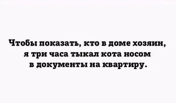 Чтобы показать кто в доме копии три ПСП тыка КОТЗ носом в документы ня квартиру
