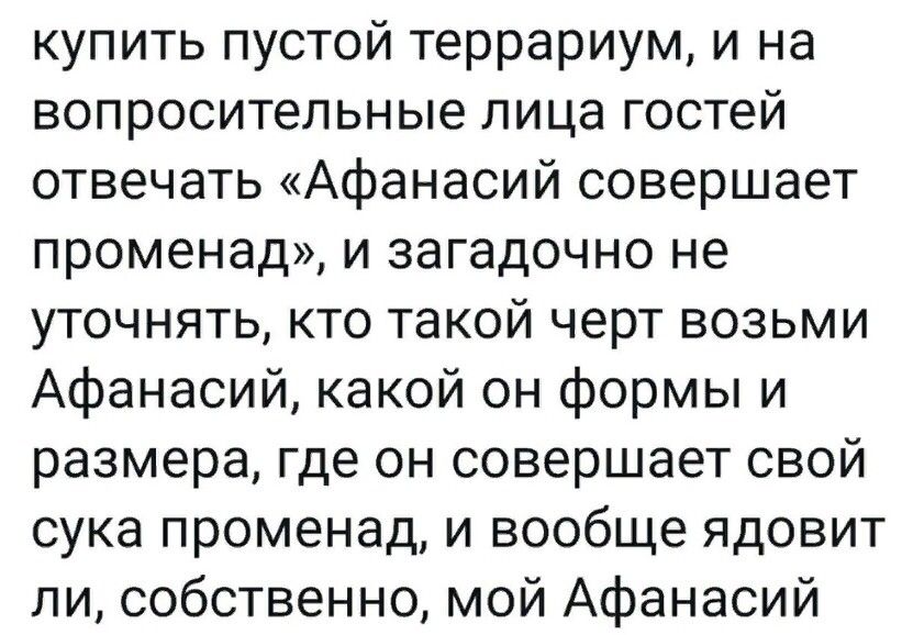 Купить пустой террариум, и на вопросительные лица гостей отвечать «афанасий совершает променад», и загадочно не уточнять, кто такой черт возьми афанасий, какой он формы и размера, где он совершает свой сука променад, и вообще ядовит ли, собственно, мой афанасий