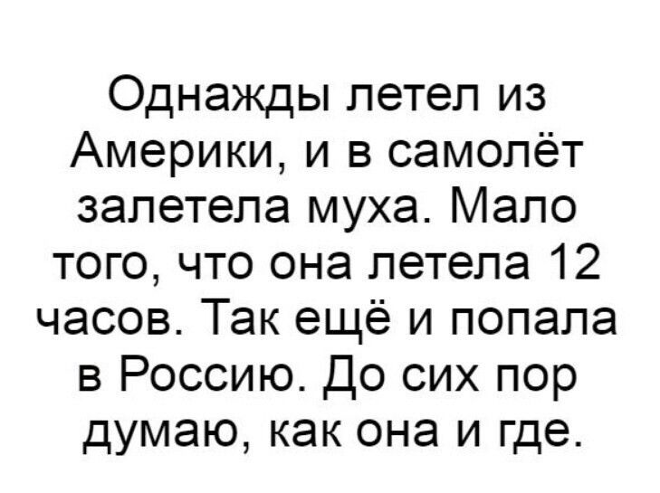 Однажды летел из америки, и в самолёт залетела муха. Мало того, что она летела 12 часов. Так ещё и попала в россию. До сих пор думаю, как она и где.