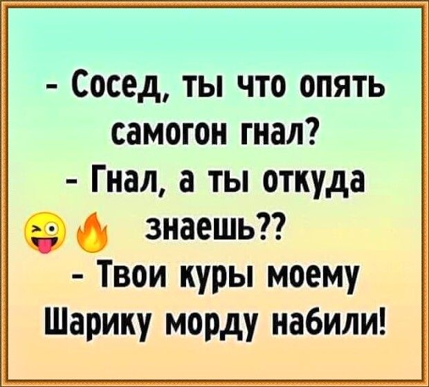 Сосед ты что опять самогон гнал Гнал а ты откуда знаешь Твои куры моему Шарику морду набили