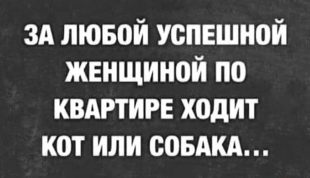 зд лювой уопЕшной женщиной по квдртигв ходит кот или оовАкд