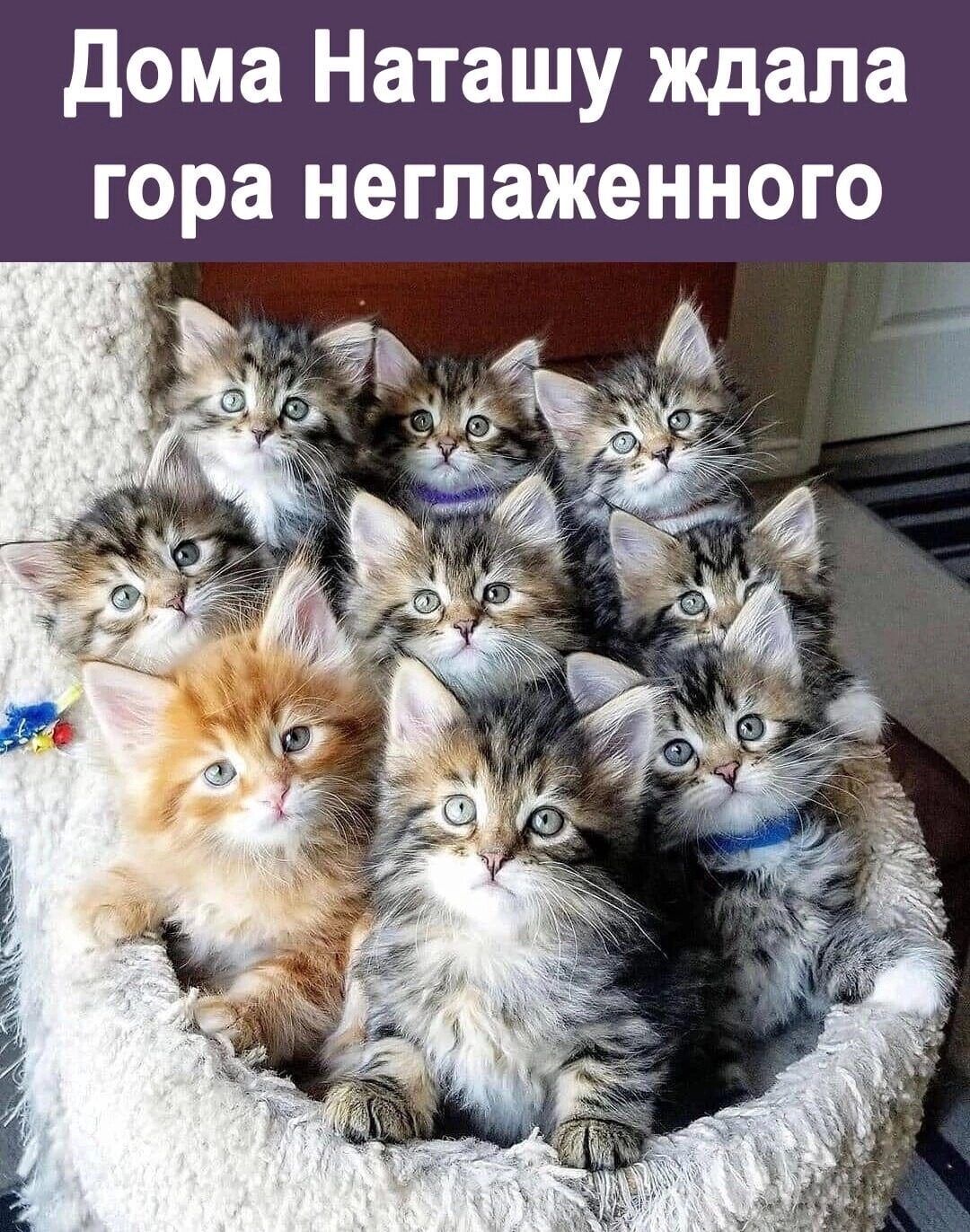 дома Наташу ждала гора неглаженного