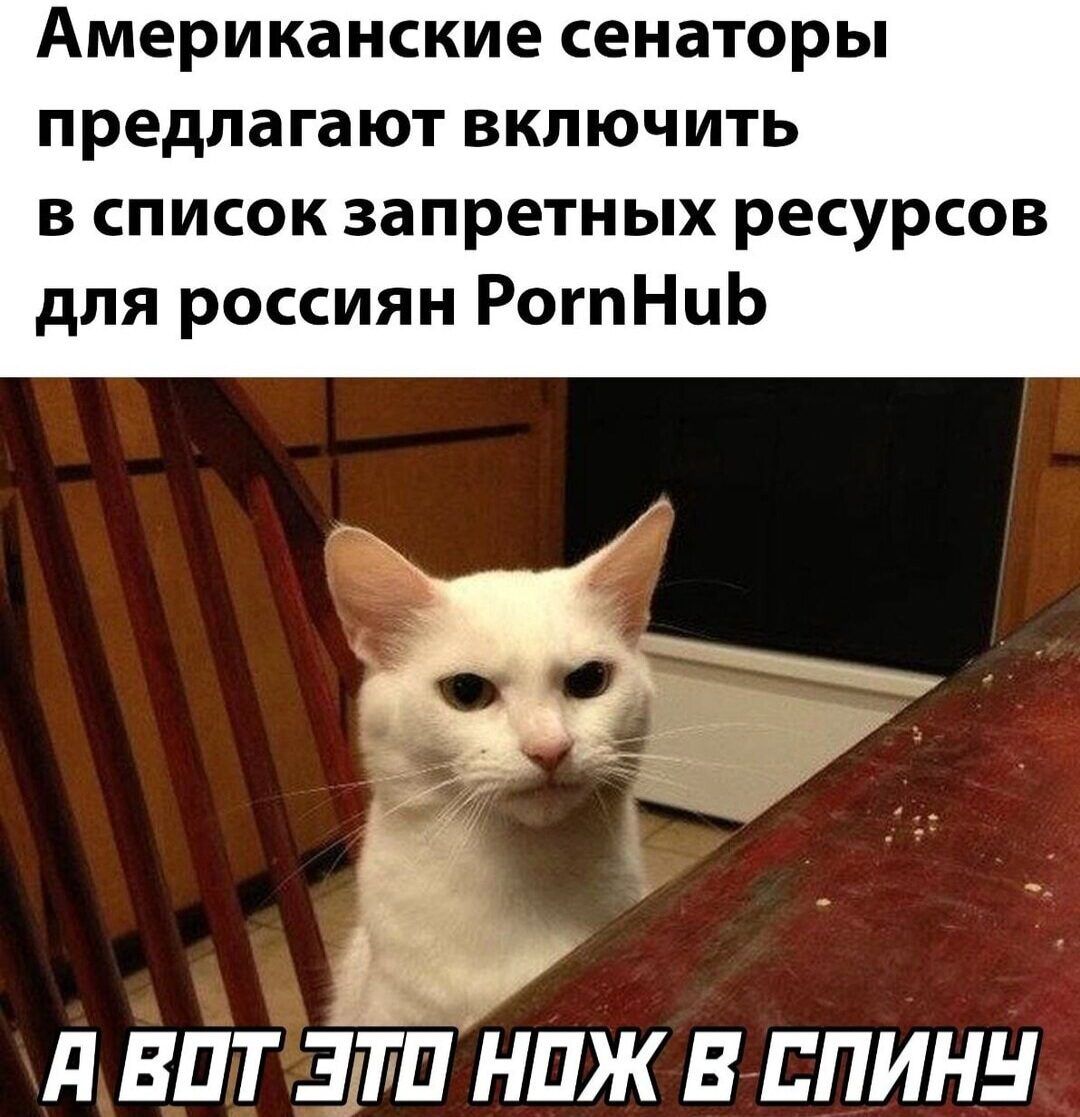 Американские сенаторы предлагают включить в список запретных ресурсов для россиян РогпНцЬ ЗМ д ВПТ ЭЛШ НПЖ В ЕПИНН