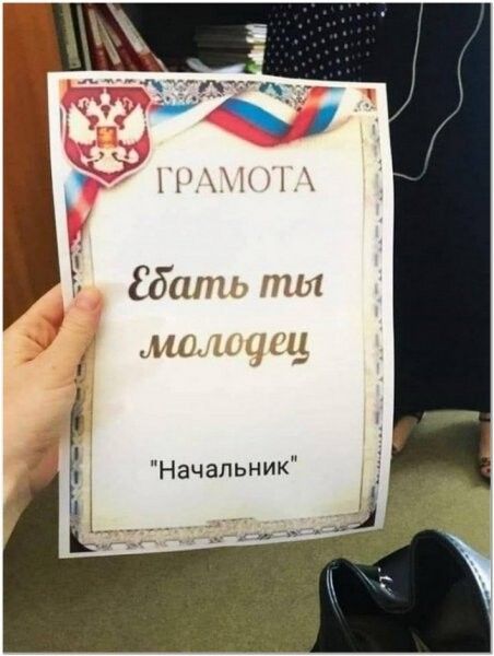 Е Стг пил и Начальник