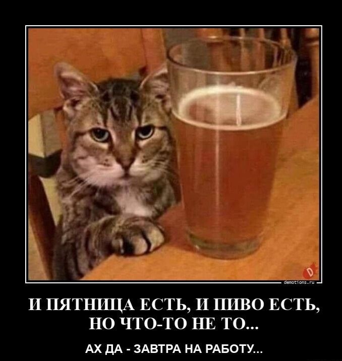 ч мы И ПЯТНИЦА ЕСТЬ И ПИВО ЕСТЬ НО ЧТО ТО НЕ ТО АХ дА ЗАВТРА НА РАБОТУ