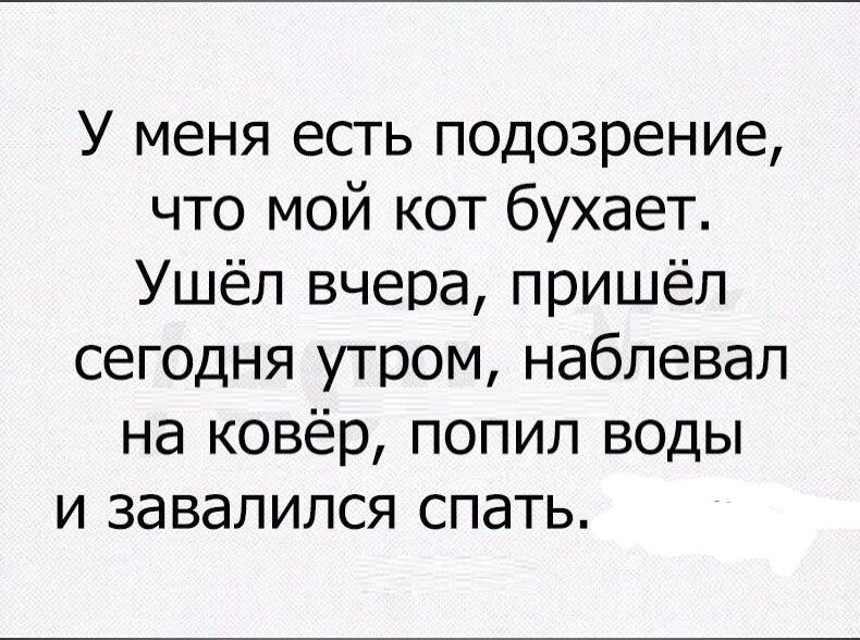 У меня есть подозрение что мой кот бухает Ушёл вчера пришёл сегодня утром наблевал на ковёр попил воды и завалился спать