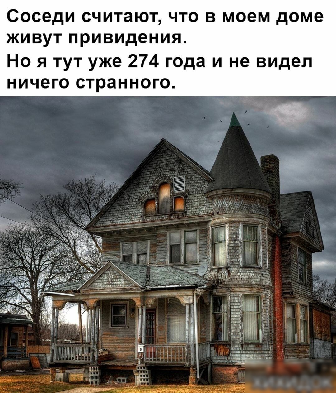 Соседи считают что в моем доме живут привидения Но я тут уже 274 года и не видел ничего странного