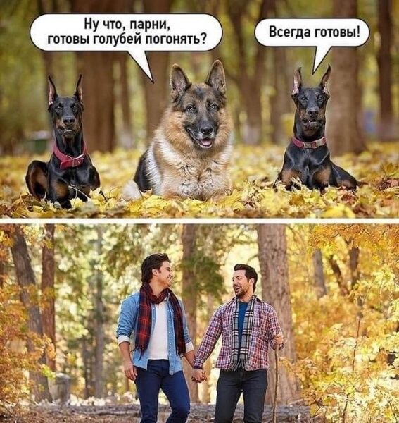 Ну что парни гптовы гппубеи погпнпть Всегда готовы