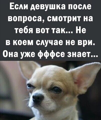 Если девушка после вопроса смотрит на тебя вот так Не в коем сАучае не ври Она уже фффсе знает