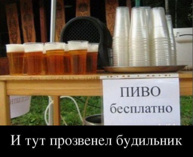 НПВП мы И тут прозвенел будильник