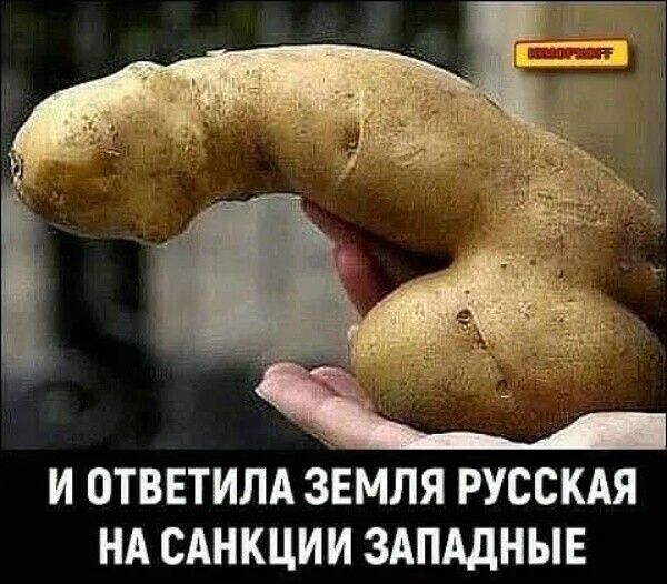 И ОТВЕТИЛА зЕМЛЯ РУССКАЯ НА САНКЦИИ ЗАПАДНЫЕ