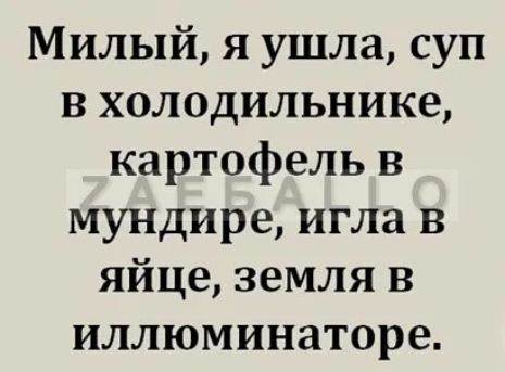 Милый я ушла суп в холодильнике картофель в мундире игла в яйце земля в иллюминаторе