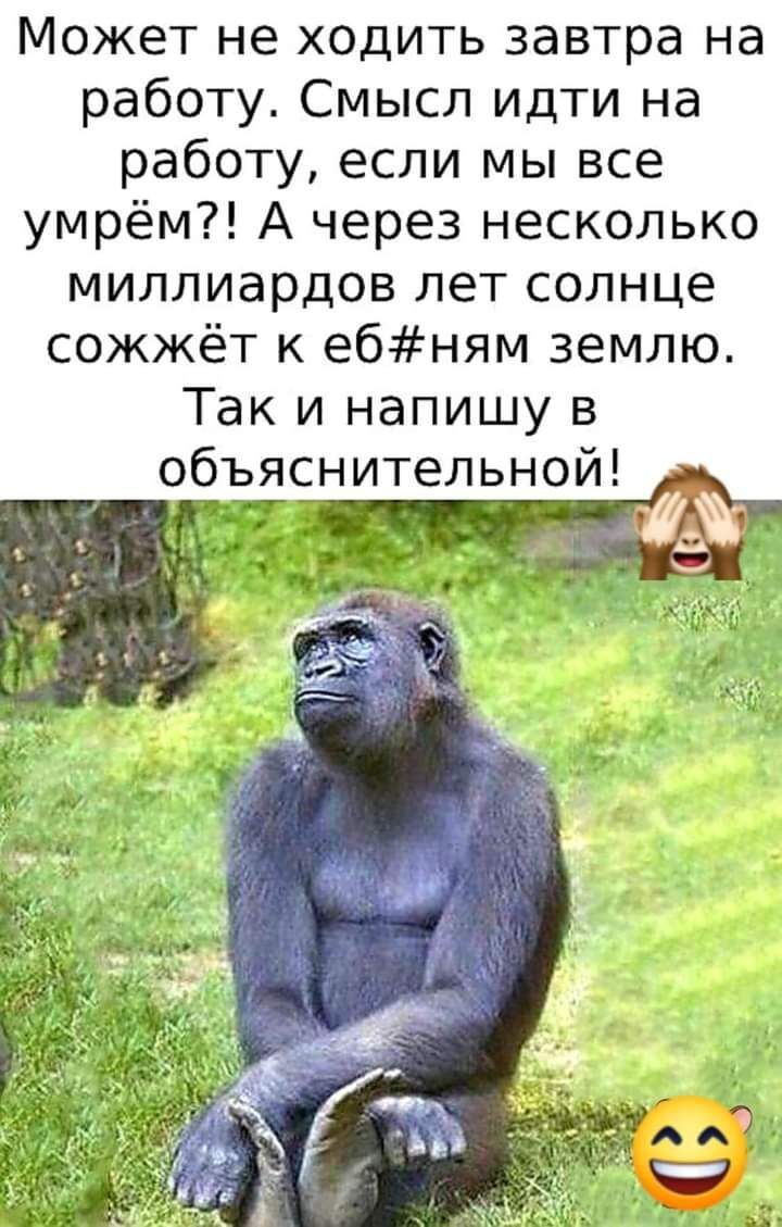 Может не ходить завтра на работу Смысл идти на работу если мы все умрём А  через несколько миллиардов лет солнце сожжёт к ебням землю Так и напишу в -  выпуск №1442001