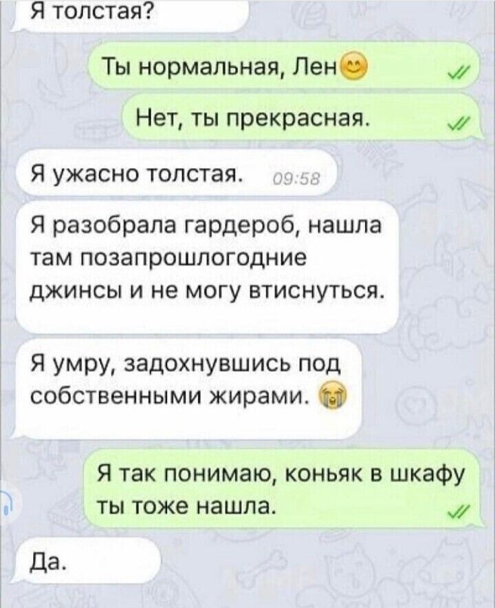 Я толстая Ты нормальная Лен Нет ты прекрасная Я ужасно толстая Я разобрала гардероб нашла там позапрошлогодние джинсы и не могу втиснуться Я умру задохнувшись под собственными жирами О Я так понимаю коньяк в шкафу ты тоже нашла