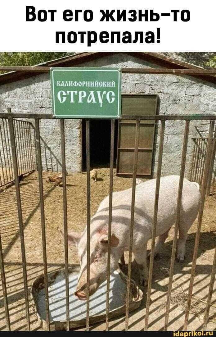 іма ЁЁиЁ _ _ и Вот его жизнь то потрепала