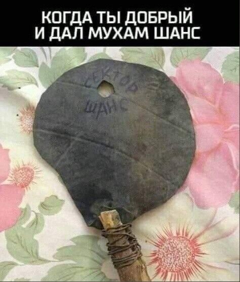 КОГДА ТЫ ДОБРЫЙ И ДАЛ МУХАМ ШАНС