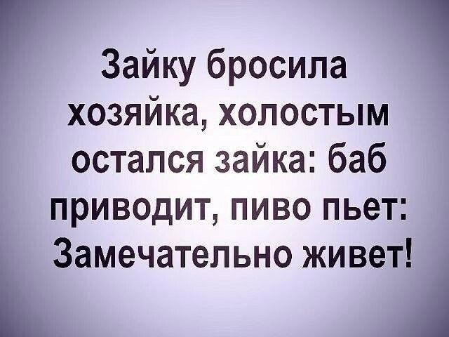 Зайку бросила хозяйка хопостым остался зайка баб приводит пиво пьет Замечательно живет