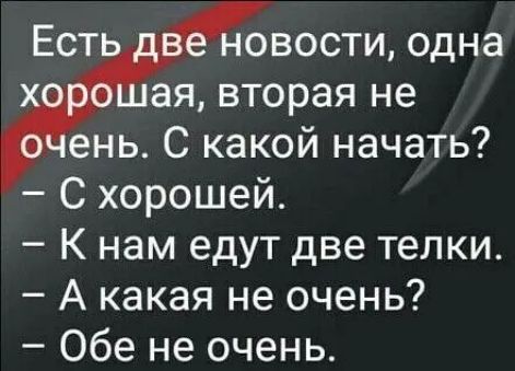 Ест овости одна ая вторая не ень С какой начать С хорошей К нам едут две телки А какая не очень Обе не очень