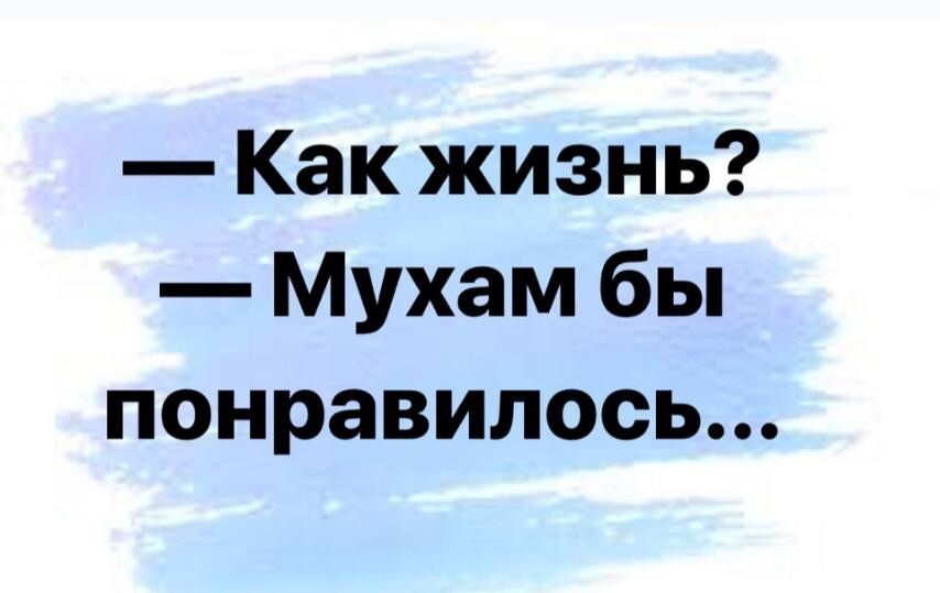 Как жизнь Мухам бы понравилось
