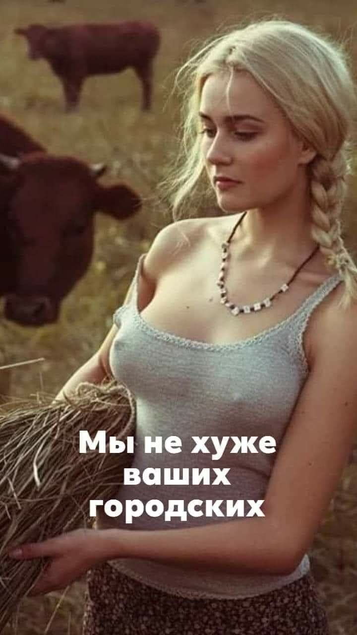 о г родіцих