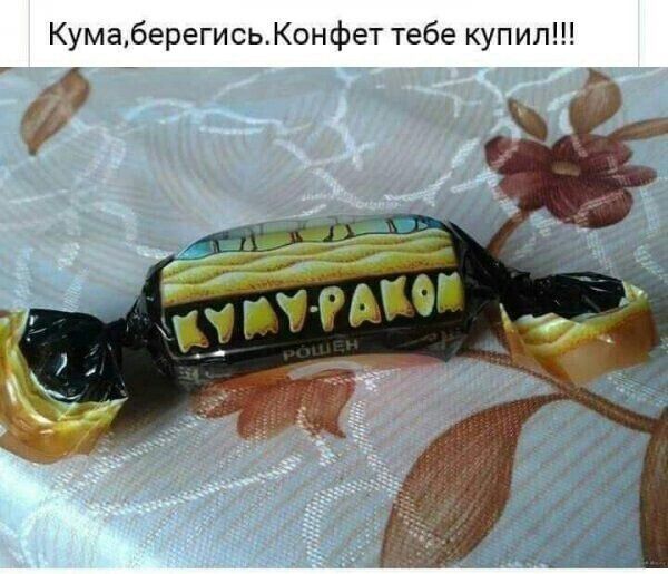КумаберегисьКон фет тебе купил