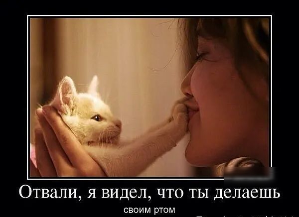 Отвали Я ВИДЕЛ ЧТО ТЫ делаешь своим ртом щ4щя