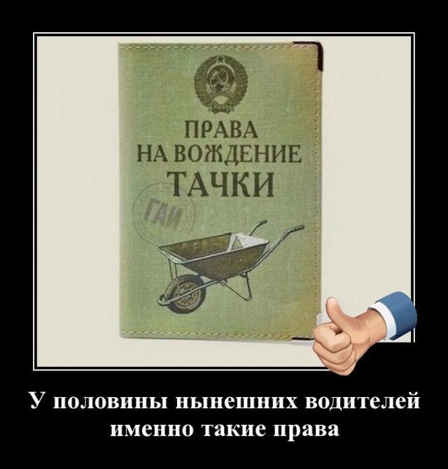 НА вождкпив ТАЧКИ У половины нынешних водителей именно такие права