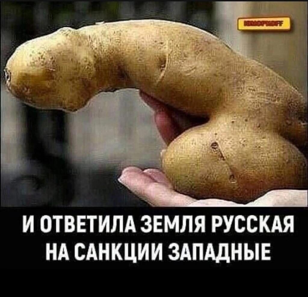 И ОТВЕТИПА 3ЕМЛЯ РУССКАЯ НА САНКЦИИ ЗАПАДНЫЕ