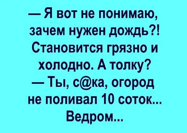 Я вот не понимаю зачем нужен дождь Становится грязно и холодно А толку Ты ска огород не поливал 10 соток Ведром