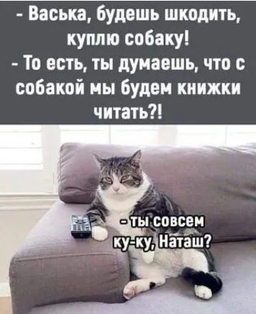 Васька будешь шкоднть куплю собаку То есть ты думаешь что с собакой мы Будем книжки читать