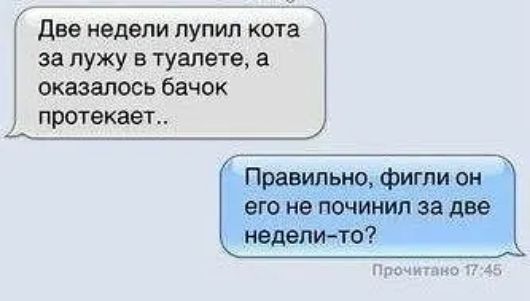 две недели пупил кота за пужу туалете оказалось бачок протекает ними а