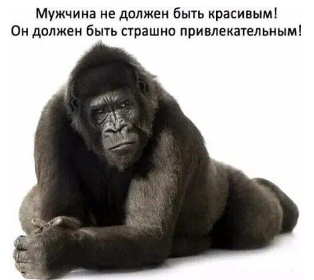 Мужчина не должен быть красивым Он должен быть страшно привлекательным