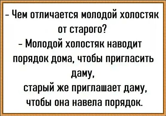 Чем отличается молодой хопостяк от старого Молодой хопостяк наводит порядок дома чтобы пригласить даму старый же приглашает даму чтобы она навела порядок