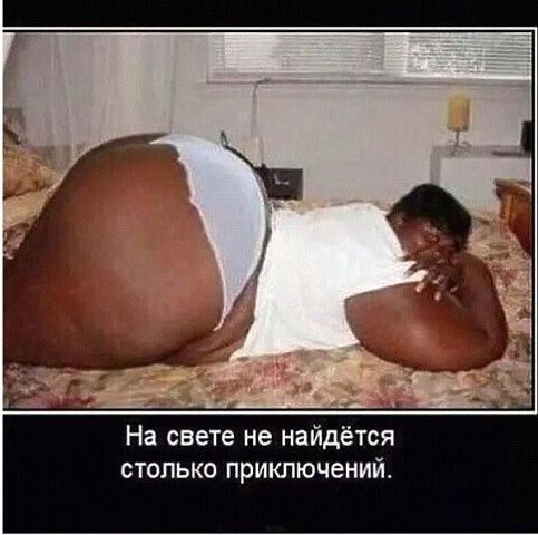 На свете не найдётся столько приключений