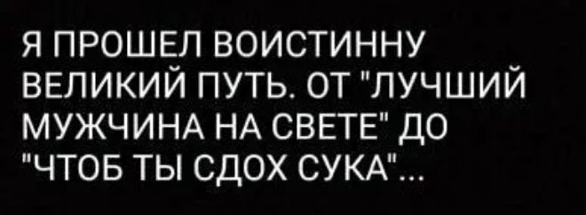 Я ПРОШЕЛ ВОИСТИННУ ВЕЛИКИЙ ПУТЬ ОТ ЛУЧШИЙ МУЖЧИНА НА СВЕТЕ ДО ЧТОБ ТЫ СДОХ СУКА